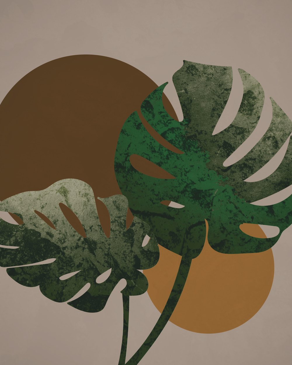 Monstera — collection Formes contemporaines